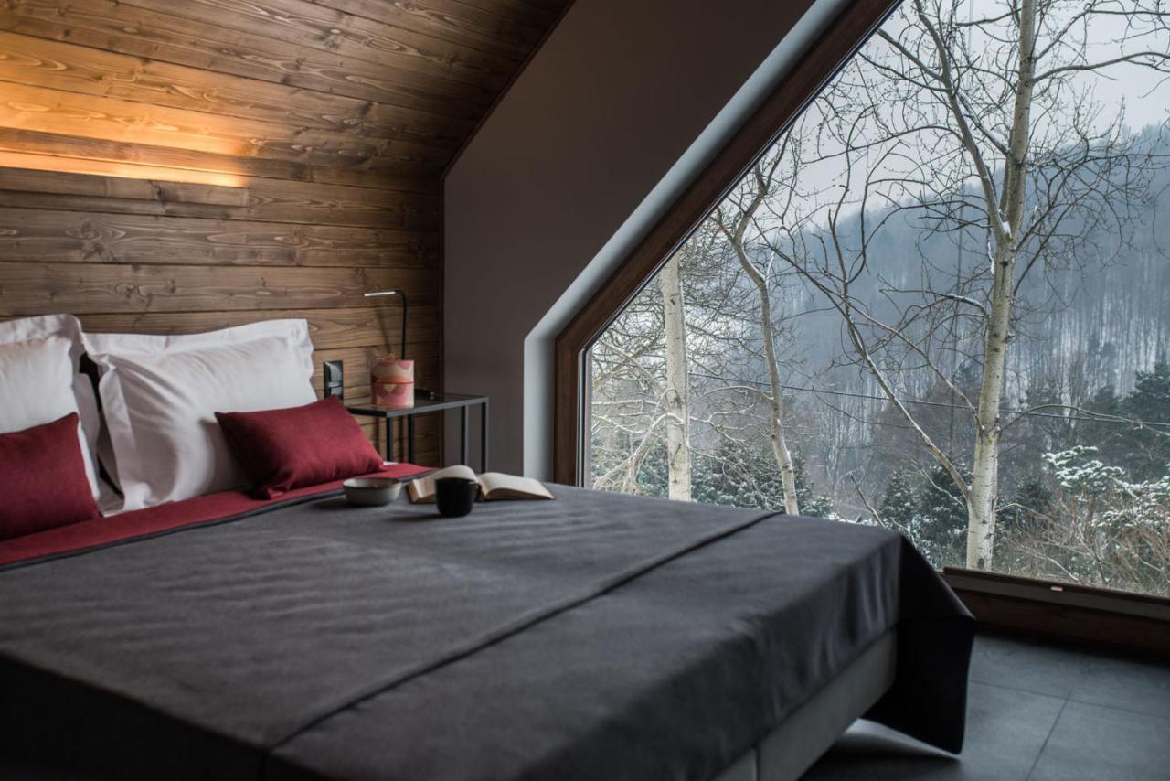 Aspen Deluxe Residence & Aspen Cottage Międzybrodzie Bialskie Екстериор снимка